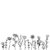 Blumenwiese
